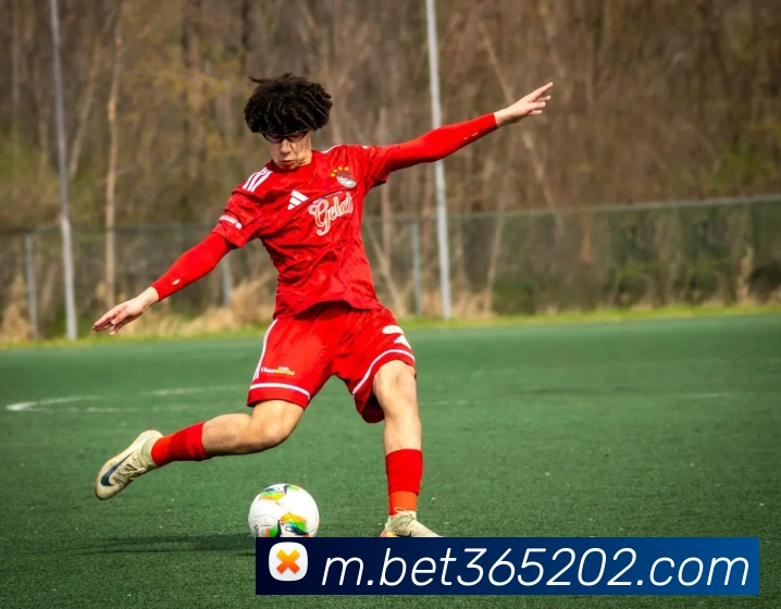 bet365中国官网品牌故事