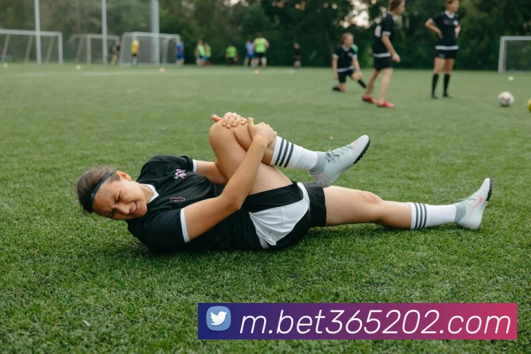 bet365中国官网服务体系